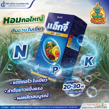 แอ็กจี้